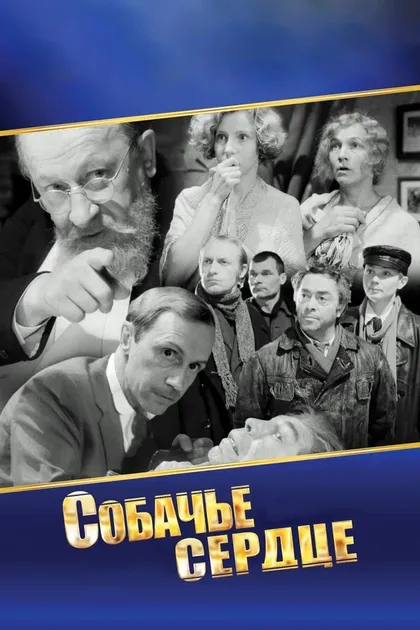 Евгений Кузнецов