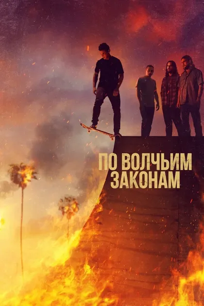 Финн Коул